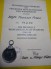 WWII German Russian Front Medal and Document image 1