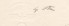 Nazi Document Signed By HITLER & BLOMBERG 1936 image 5