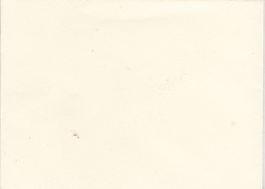 EVA BRAUN PERSONAL ENVELOPE image 2