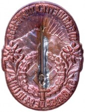 SA Brigade 94 Sport Competition Badge-RARE image 2
