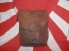 WW2 Japanese Army Officer Map Case image 1