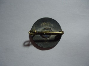 NSDAP MEMBER PIN PAINTED TYPE M1/14 MINT image 1