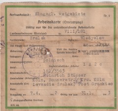 POLISH WORKER IN GERMANY WORK PASS image 1