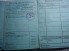 BDM Dienstkarte Young Girl ID image 4