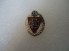 NSKOV Nazi 25 Year Member pin image 1