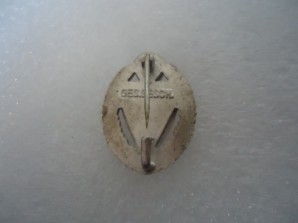 NSKOV Nazi 25 Year Member pin image 2