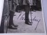 Werner von Blomberg Signed Photo image 2