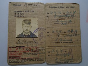 Hitler Youth Fuhrer Ausweis image 2