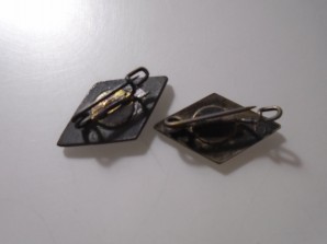 HITLER YOUTH MEMBER PINS image 2
