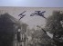 Adolf Hitler Signed Photo 1933 image 3