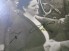 ADOLF HITLER Signed Photo image 4